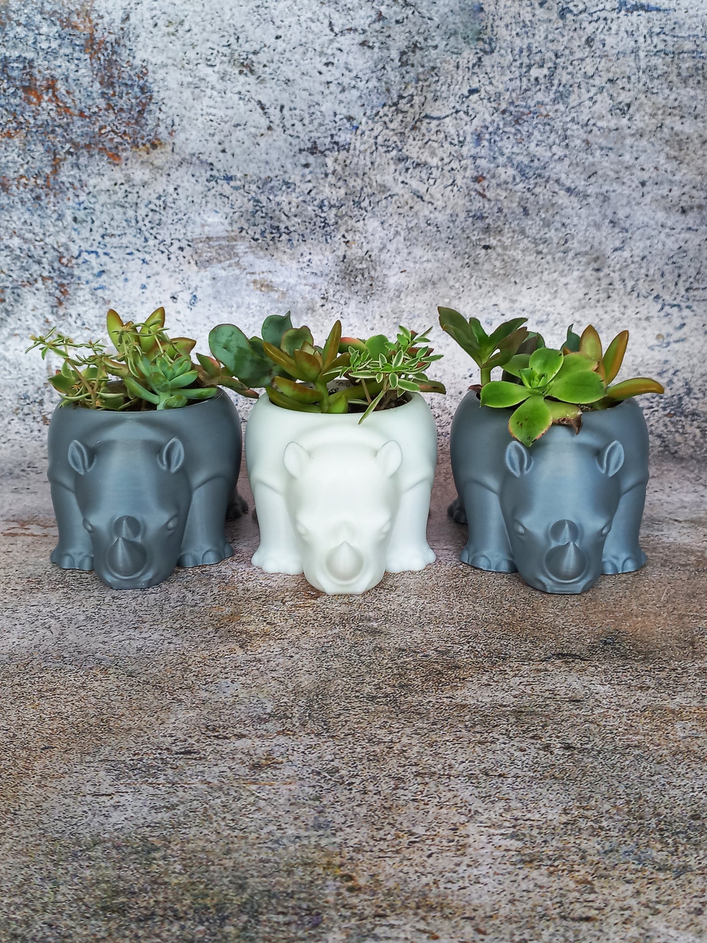 Rhino Planter Kit