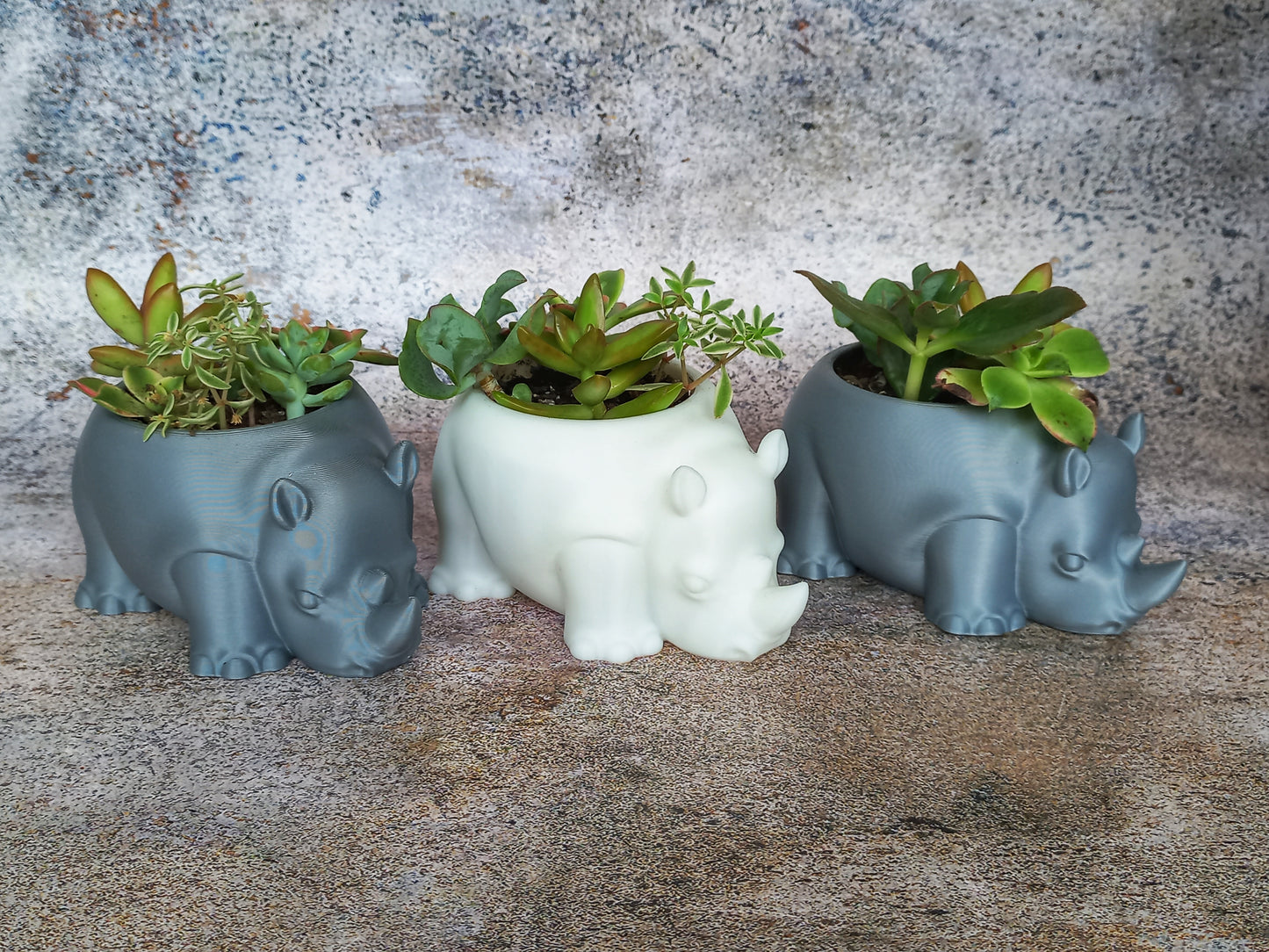 Rhino Planter Kit