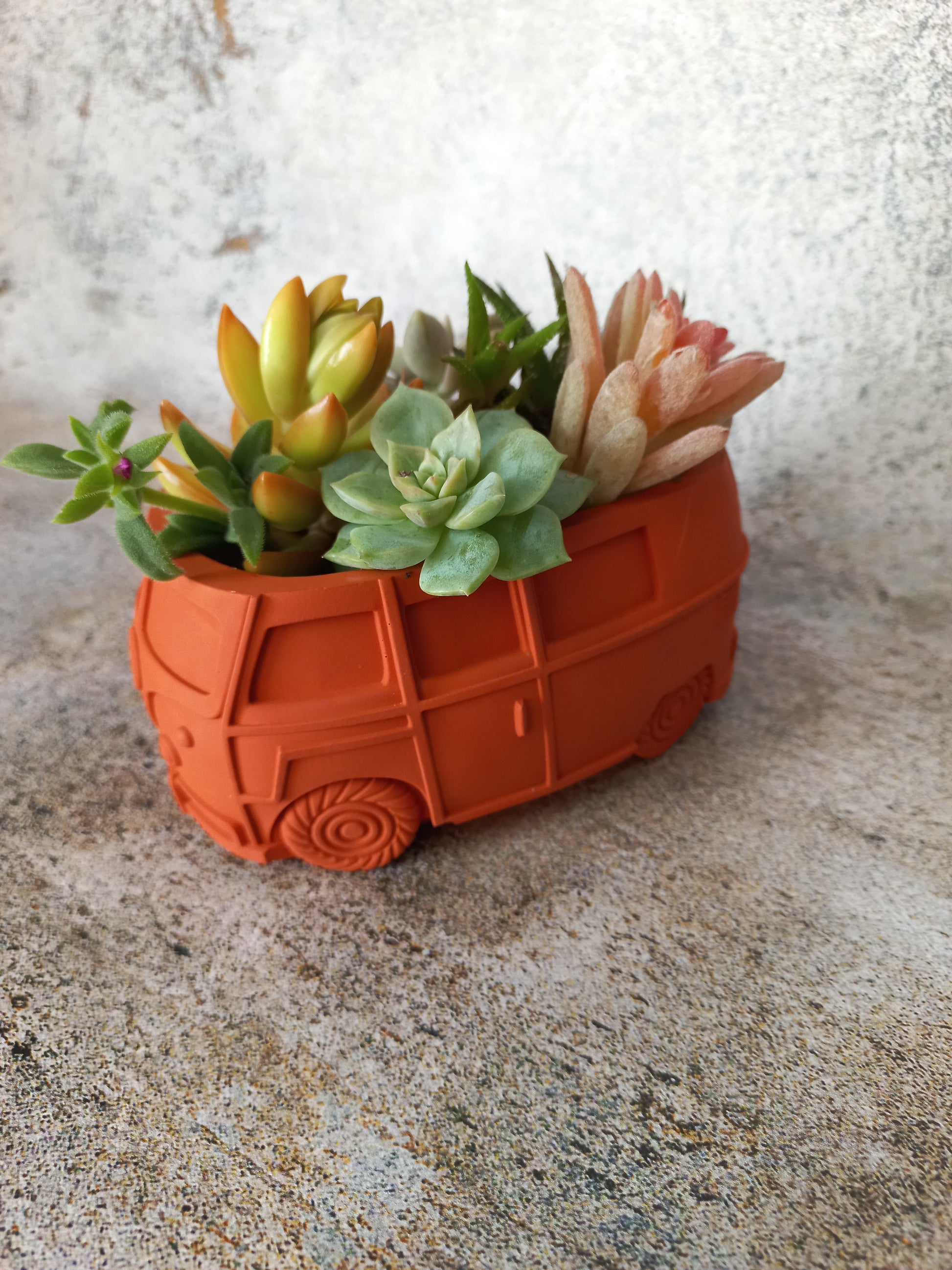 vw succulent planter VW Kombi Planter – TNT Interiors