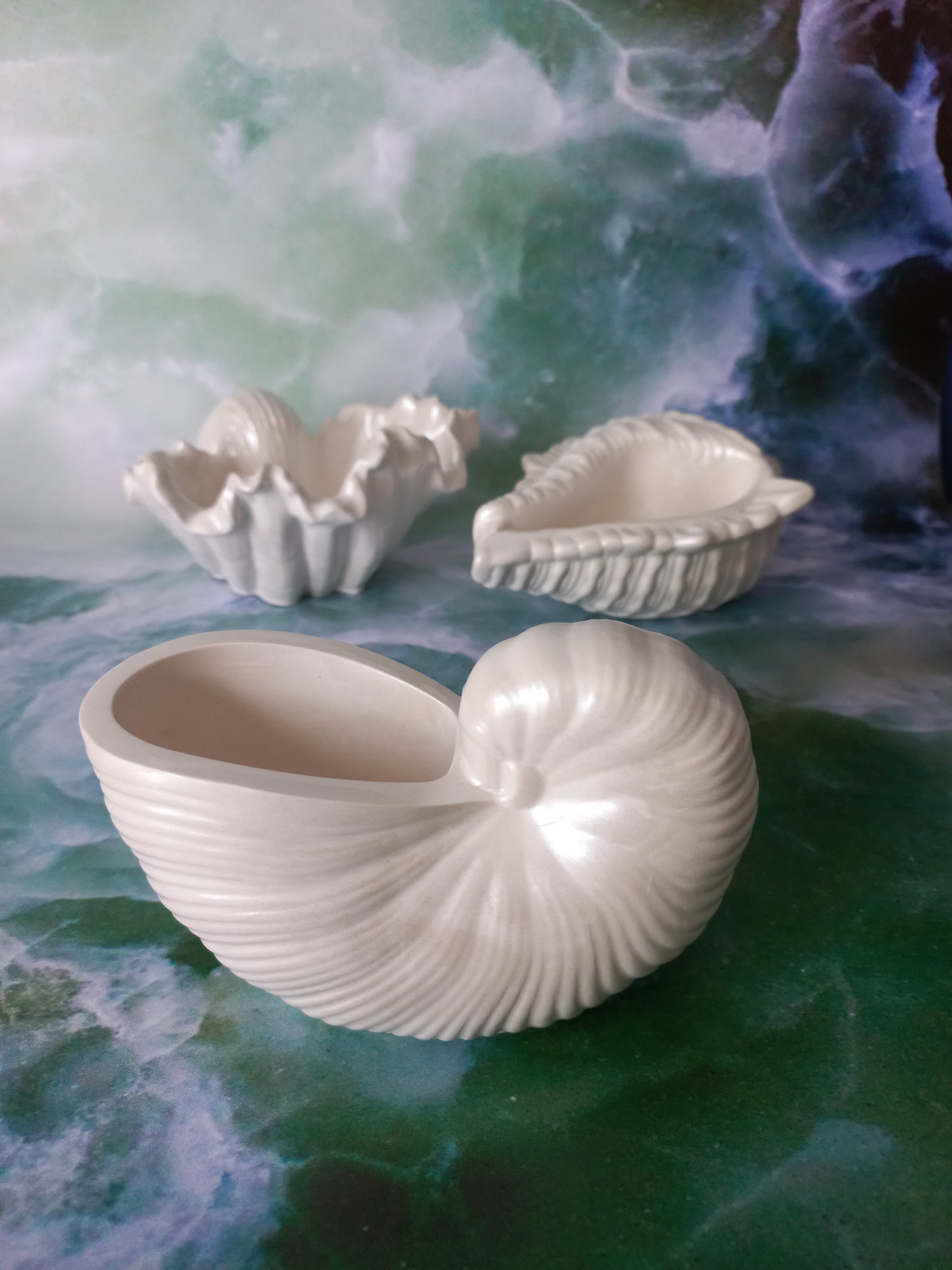 Pearlescent Seashell Trio