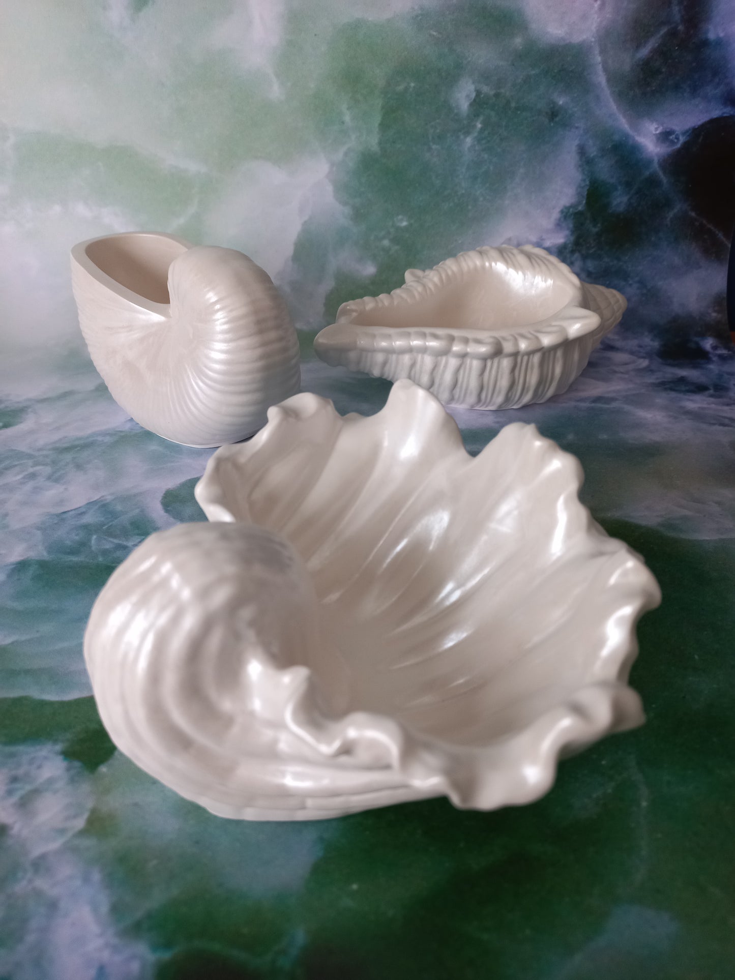 Pearlescent Seashell Trio