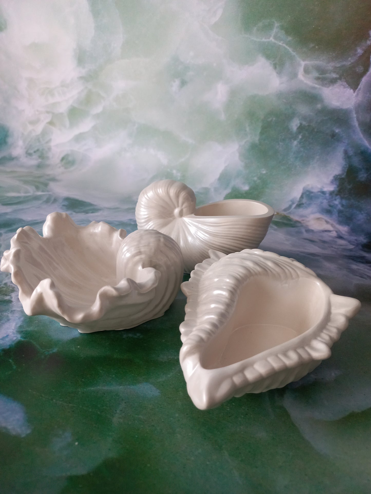 Pearlescent Seashell Trio