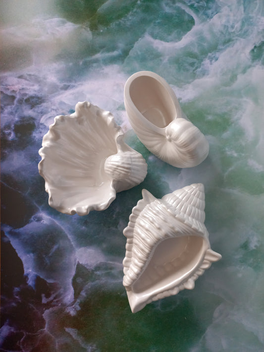 Pearlescent Seashell Trio