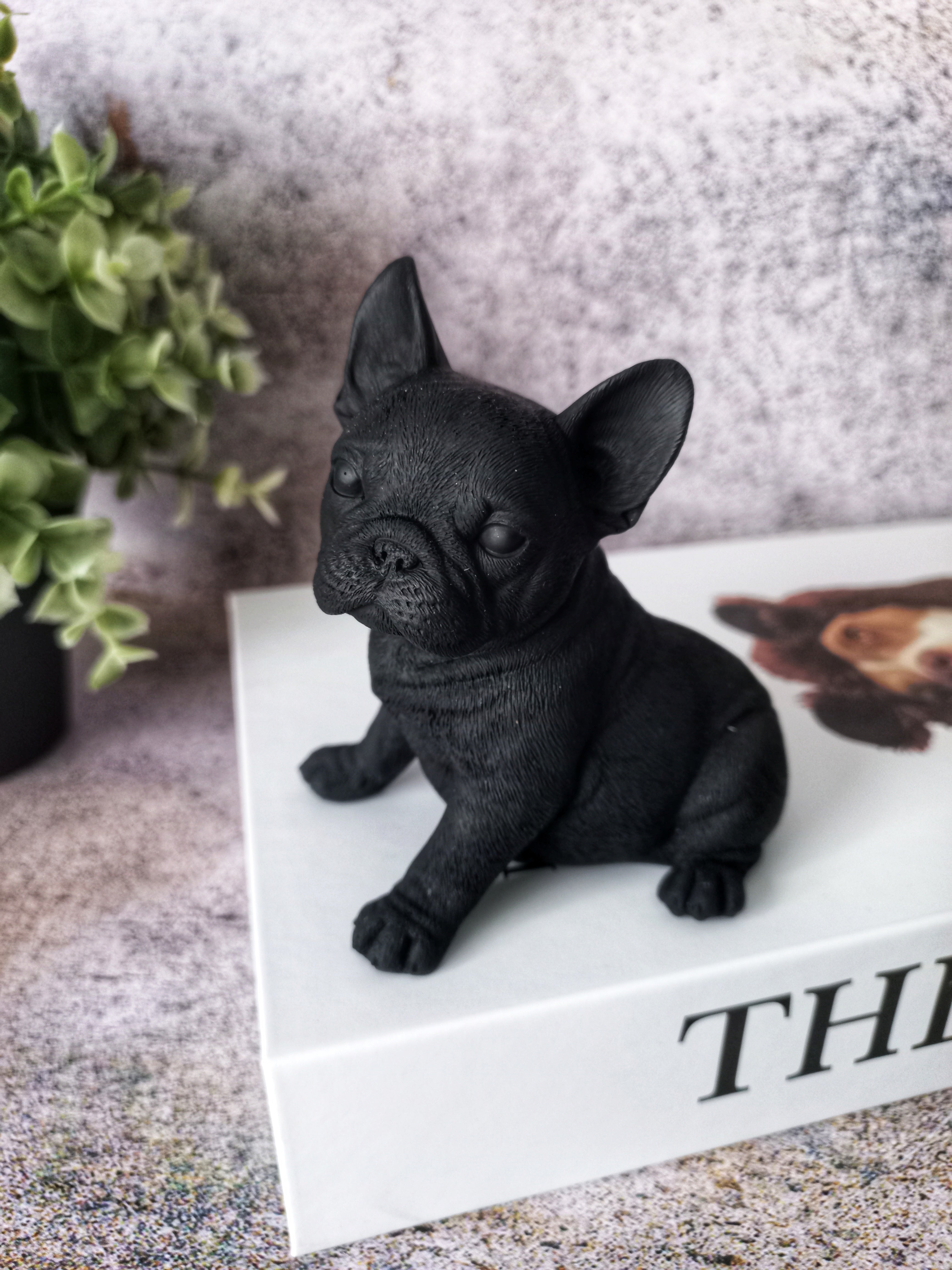 Buy mini best sale french bulldog