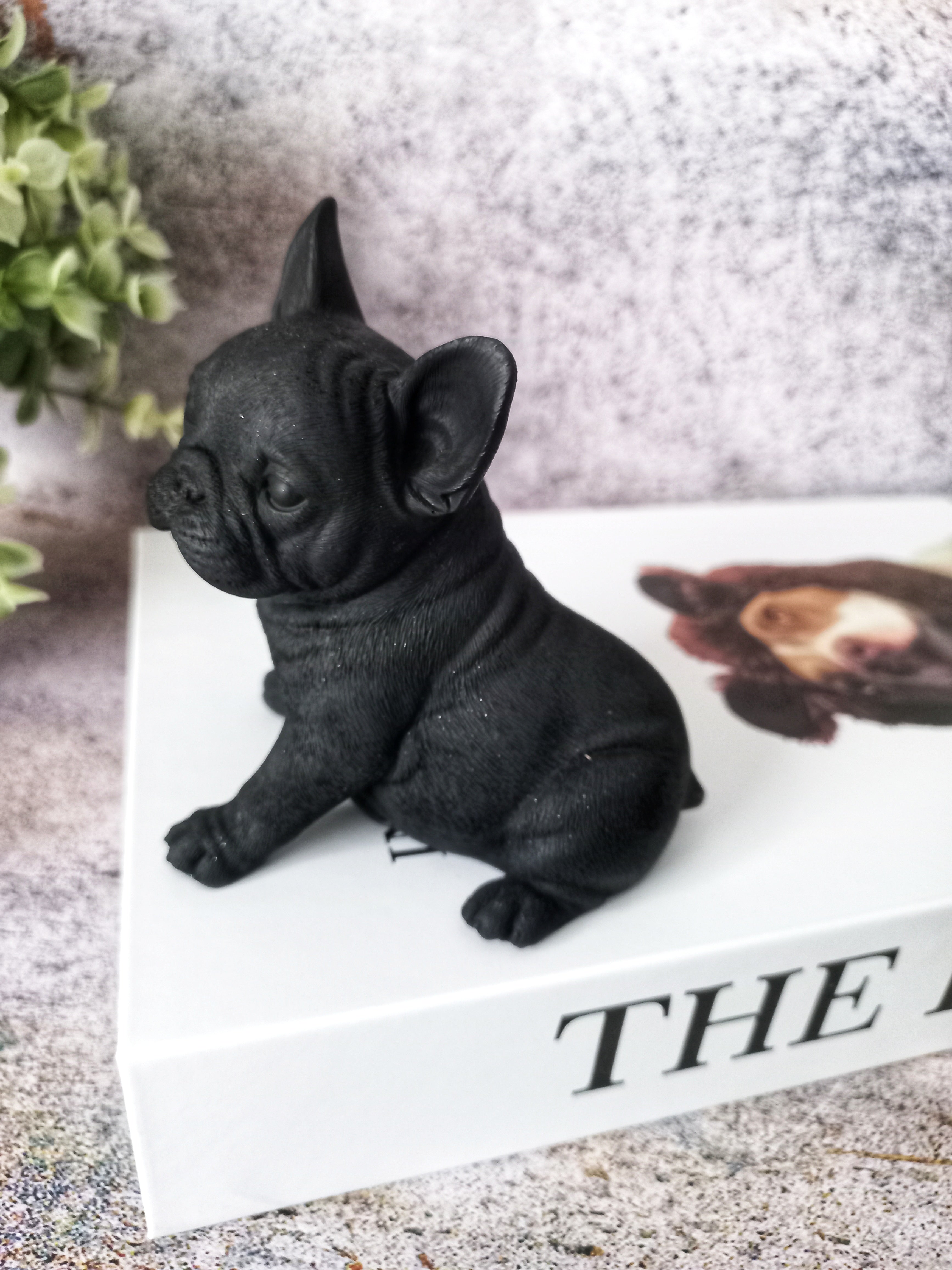 Gray mini best sale french bulldog