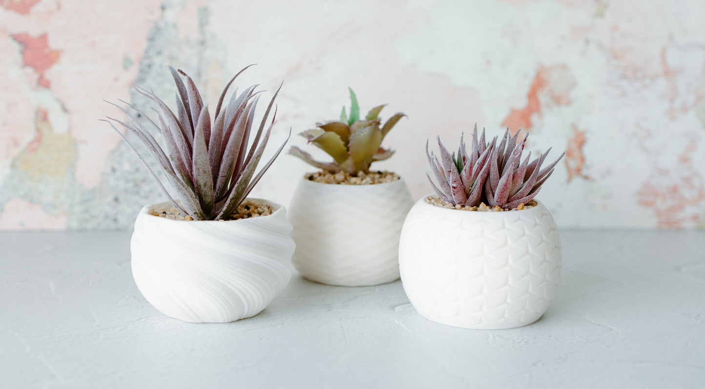 Succulent Pot Trio