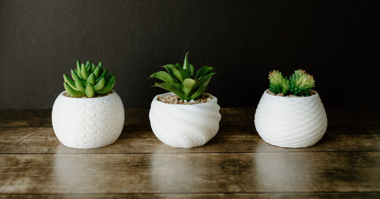 Succulent Pot Trio