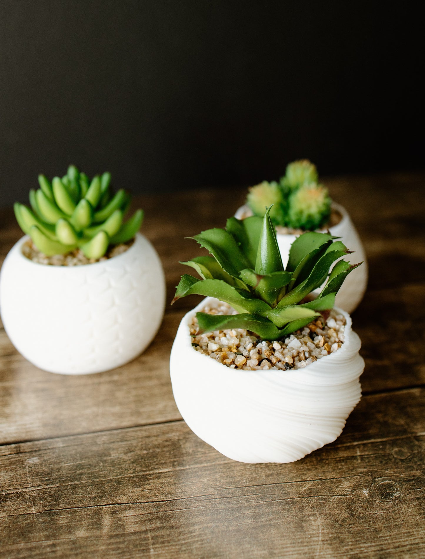 Succulent Pot Trio